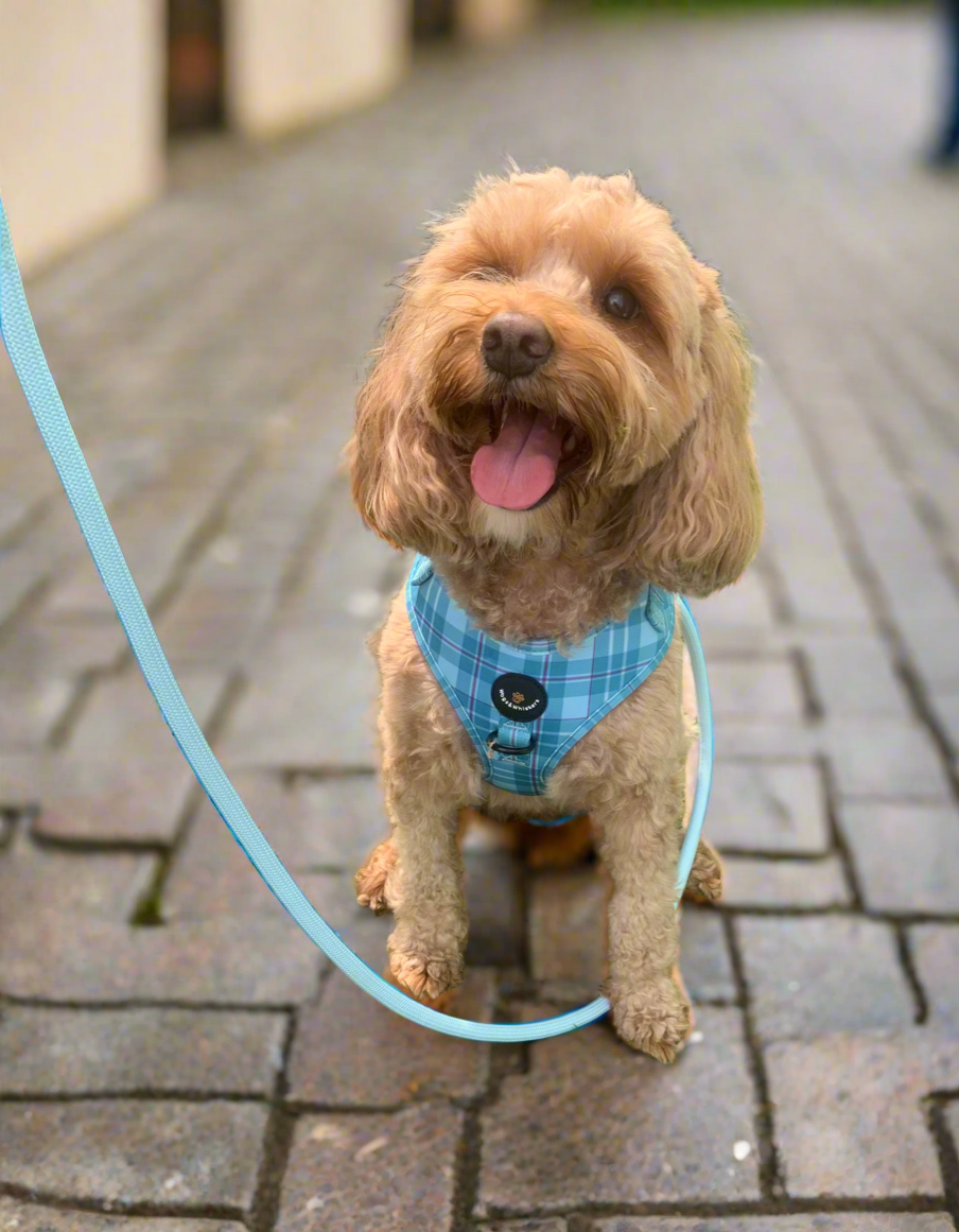 Arran Breeze Rope Lead